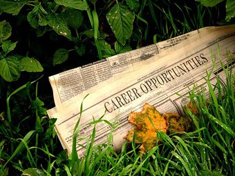 The greening of your job search