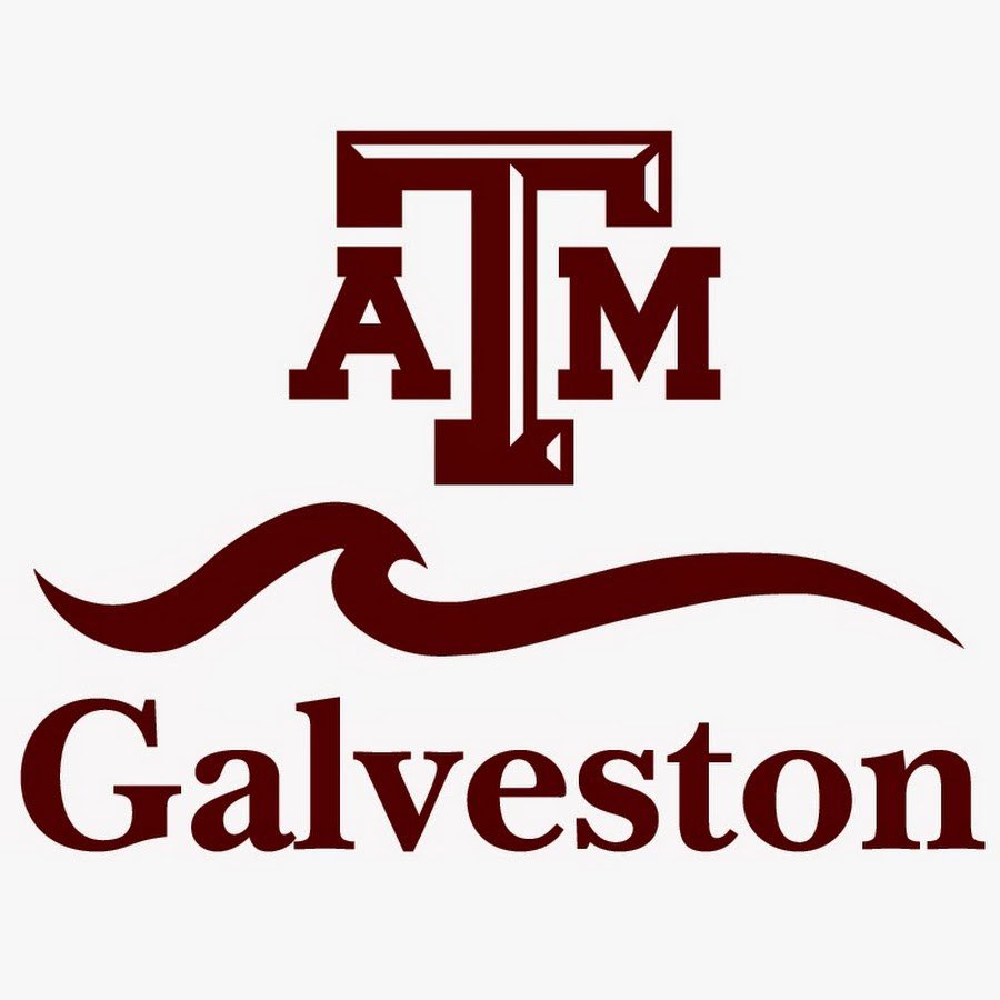 Texas A&M University at Galveston